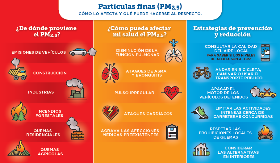 Pm Infographic Spanish